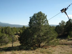 par end fedz 10-20-40